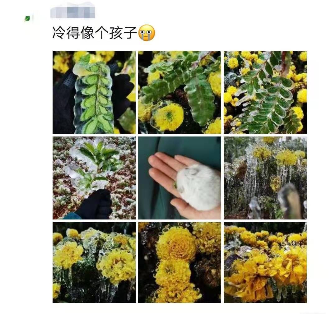 大寒潮小寒潮,寒潮带来大范围降雪