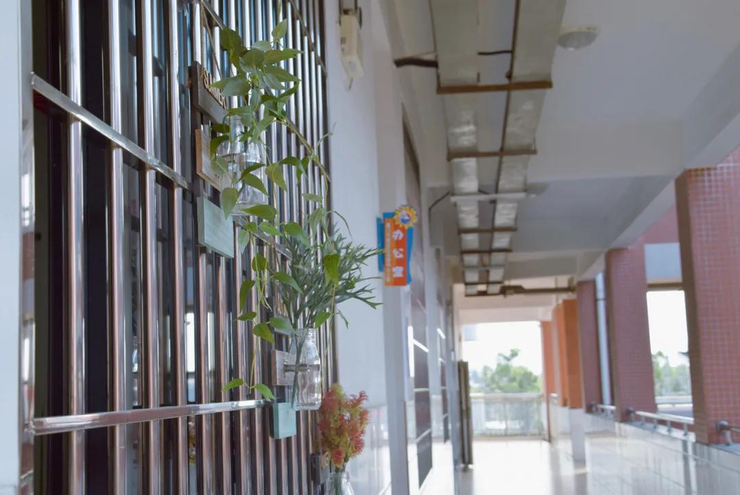 我们的小学校园,我们的校园中心小学