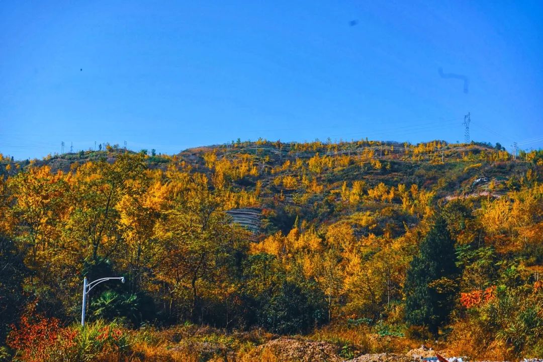 还没想好国庆去哪？自驾2.5小时，在秋日里泡温泉吃美食
