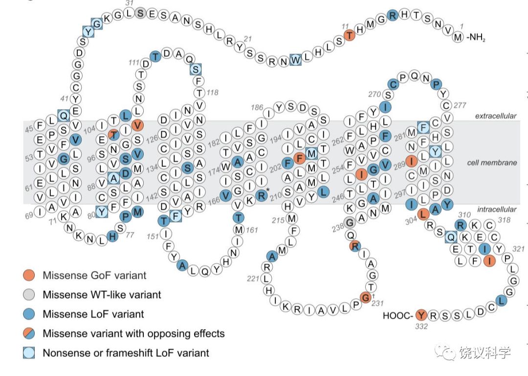 科学家发现14种导致肥胖的基因,肥胖基因原因