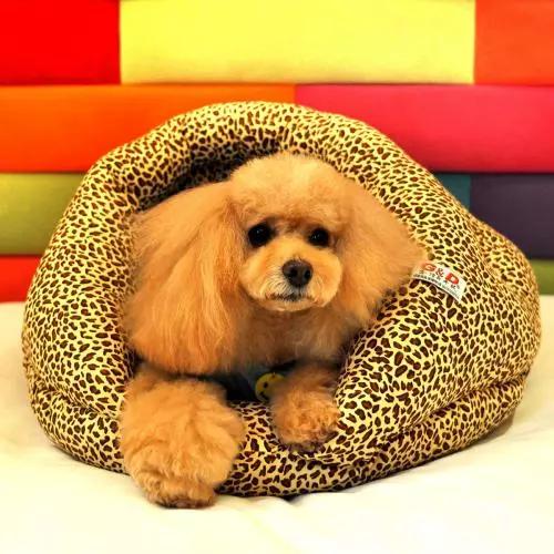 还在担心“脚臭”影响个人形象?黑科技喷雾一喷,24小时无味干爽