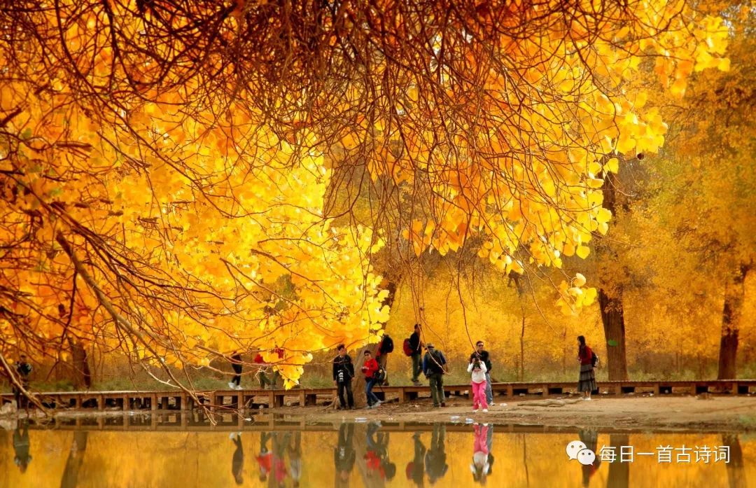 黄莉然飞花令,飞花令第6期完整版