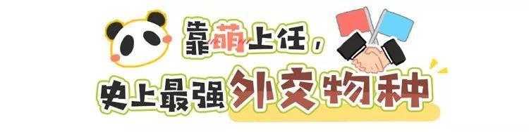 围观中国网红神兽羞羞视频，这是什么特殊爱好？