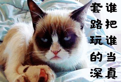 套路表情包动图gif图,套路动图表情包