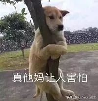 兰蔻圣诞限定盲盒多少钱,兰蔻丝绒爱心限定款