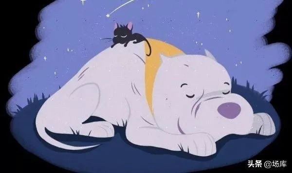 3分钟看完豆瓣高分短片,9部有趣的高分短片