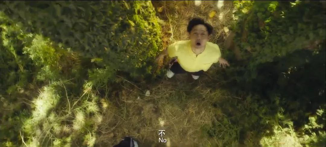 夏洛特烦恼为什么那么好看,夏洛特烦恼越看越好看