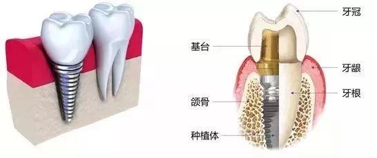 人间有味是清欢书籍于丹,人间有味是清欢精读