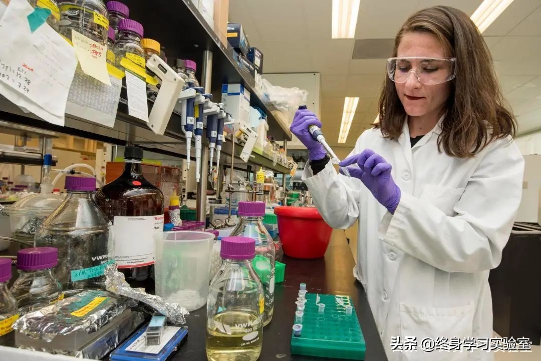 女孩理科好有没有前途,理科天赋