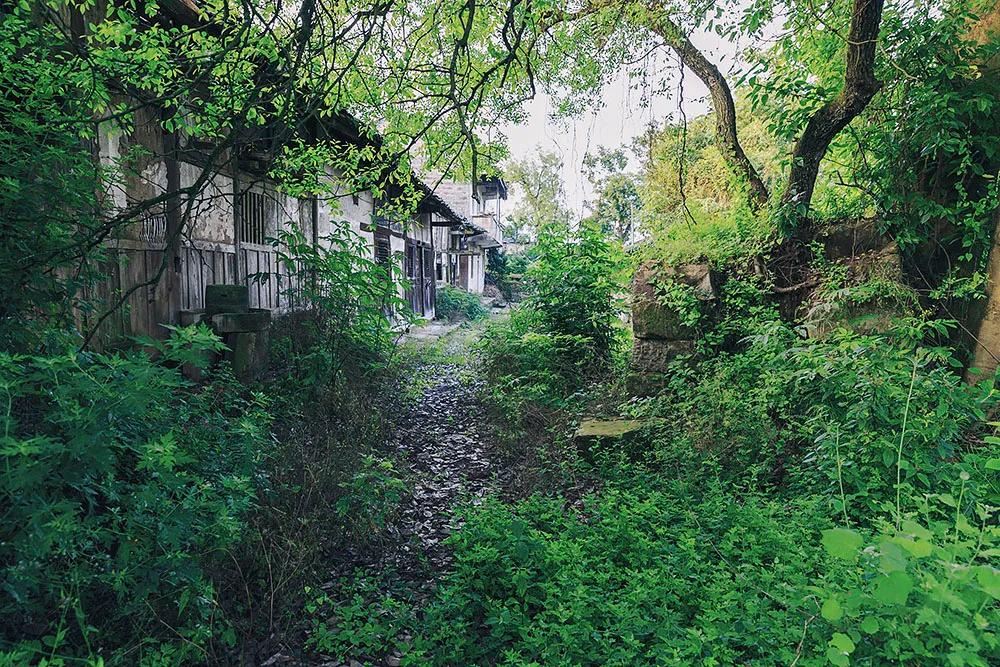 重庆市垫江县鹤游坪,垫江鹤游坪古镇