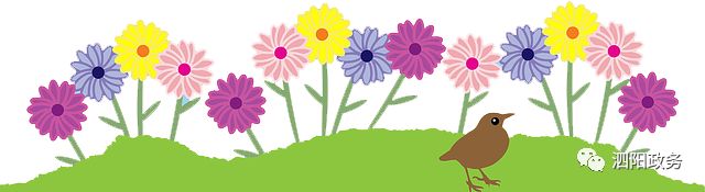 江苏省最美的县城,江苏省五大最美县城