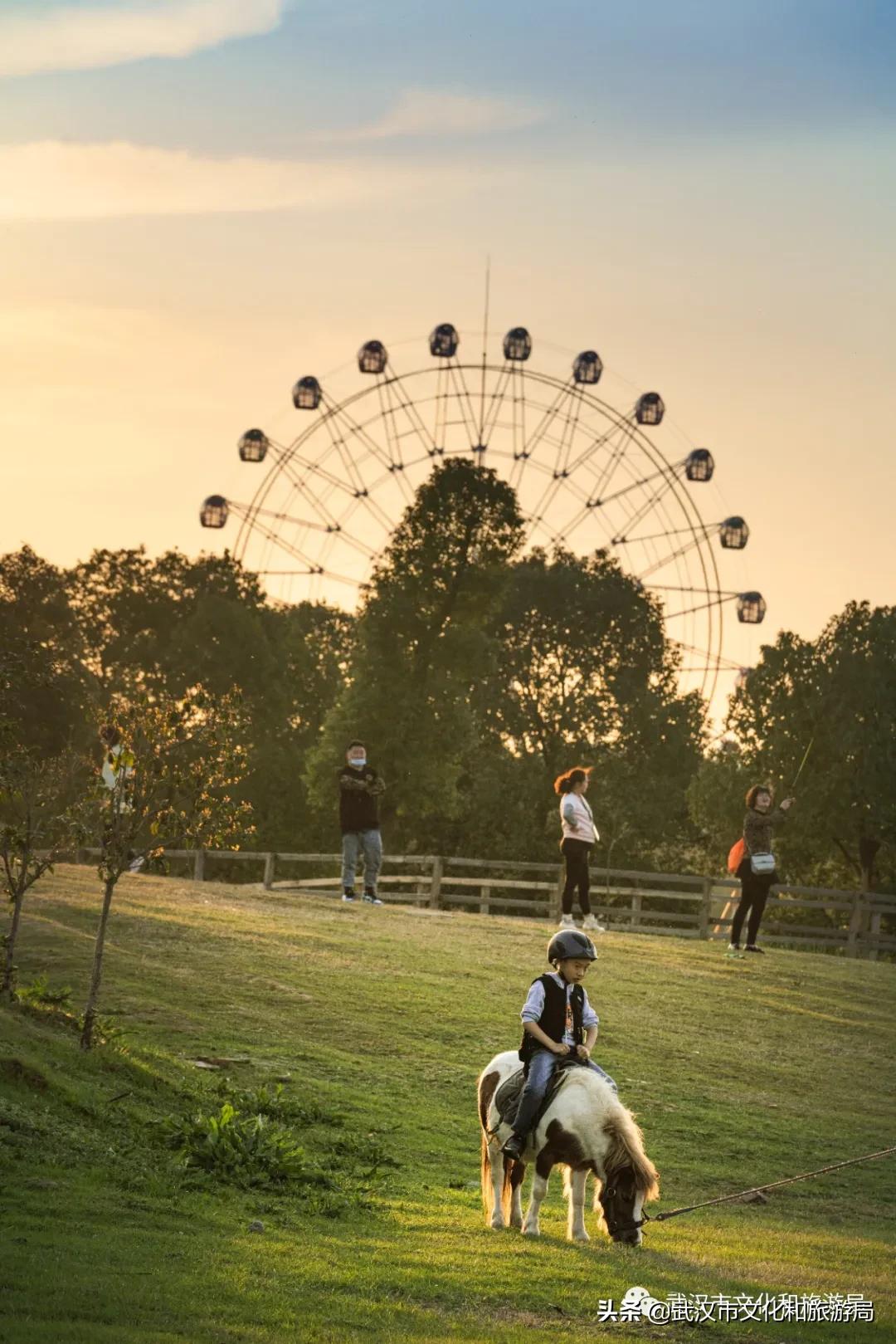 蔡甸区游玩,蔡甸在哪里