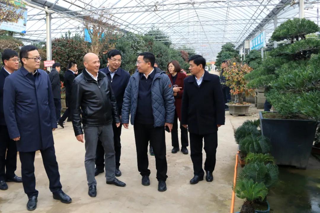 中国沭阳国际花木城在哪个城市,沭阳花木城的发展