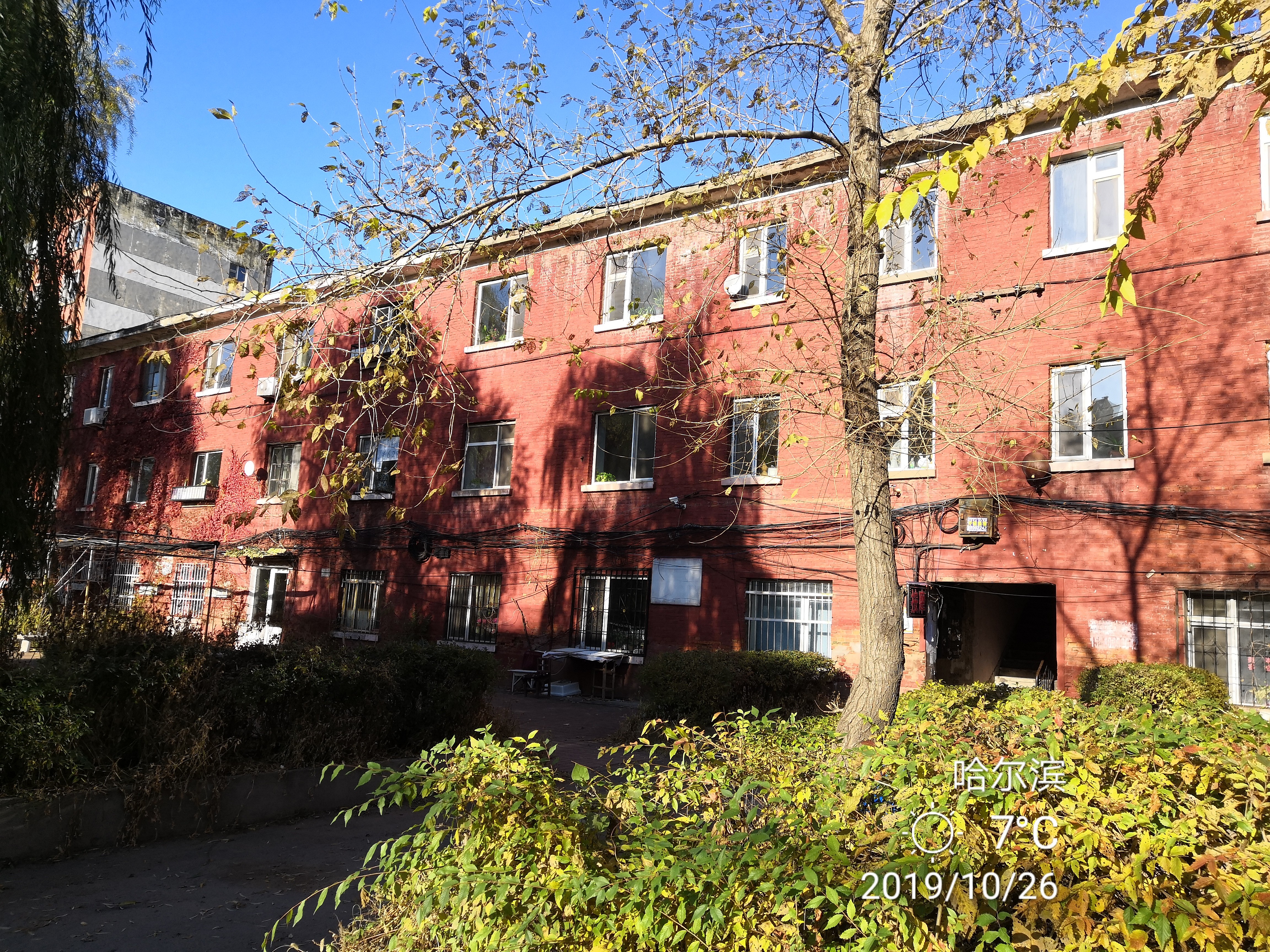 哈尔滨石化小区拆迁,哈尔滨石化小区有哪些