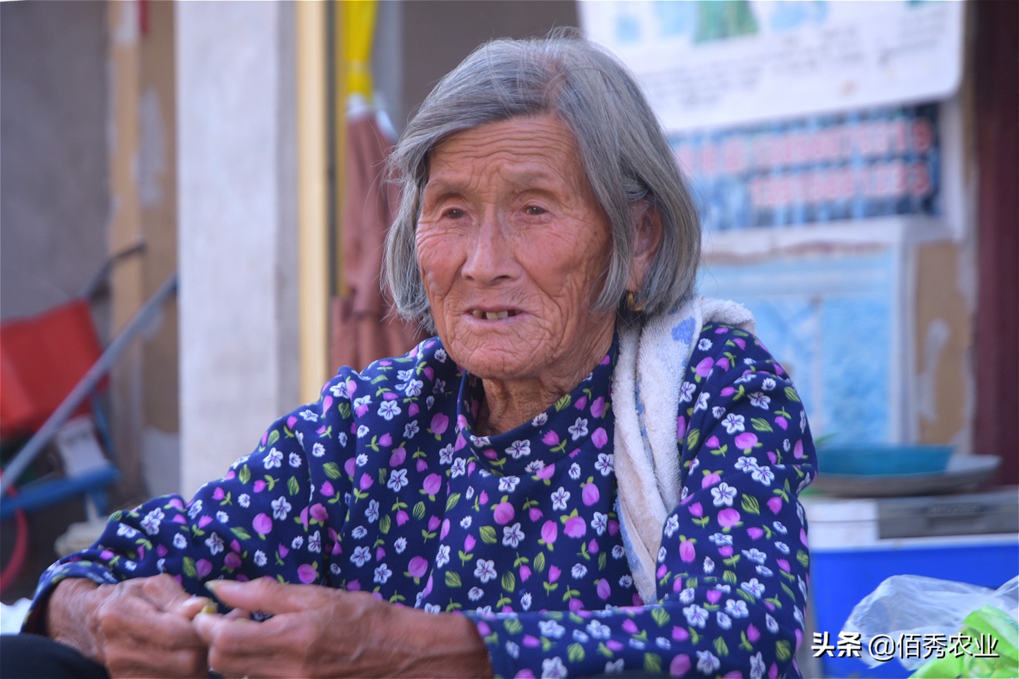 未来5年农村可能暴富的4种行业,农村最冷门赚钱行业