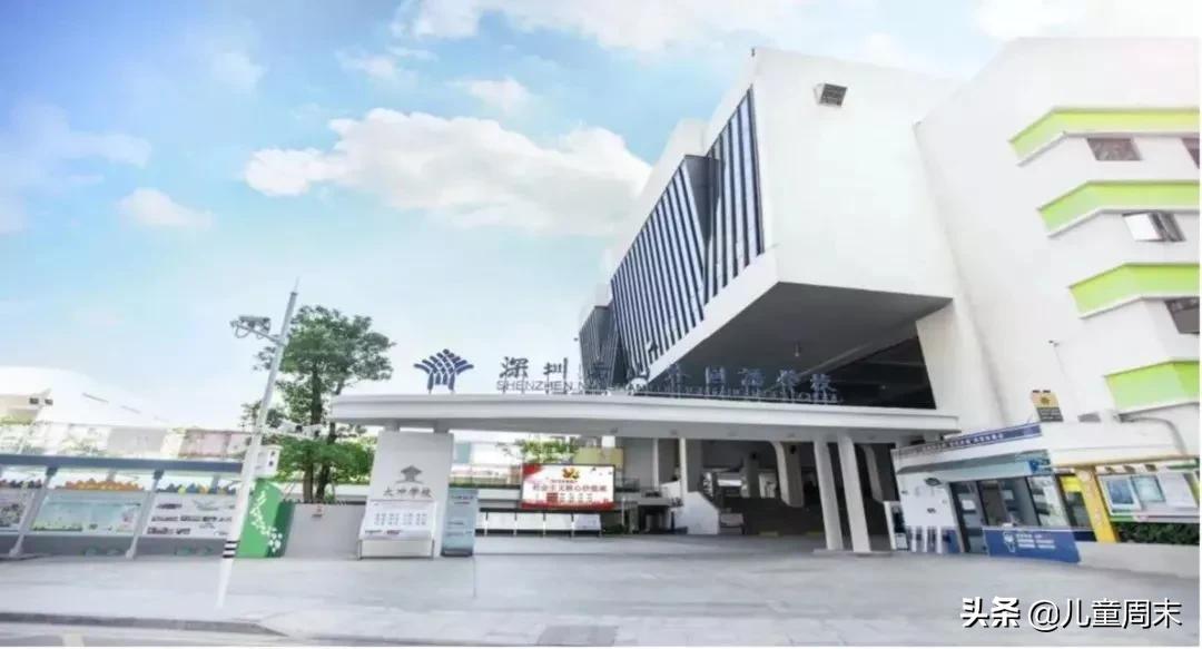深圳龙岗十大民办小学排名,深圳南山区十大公立小学