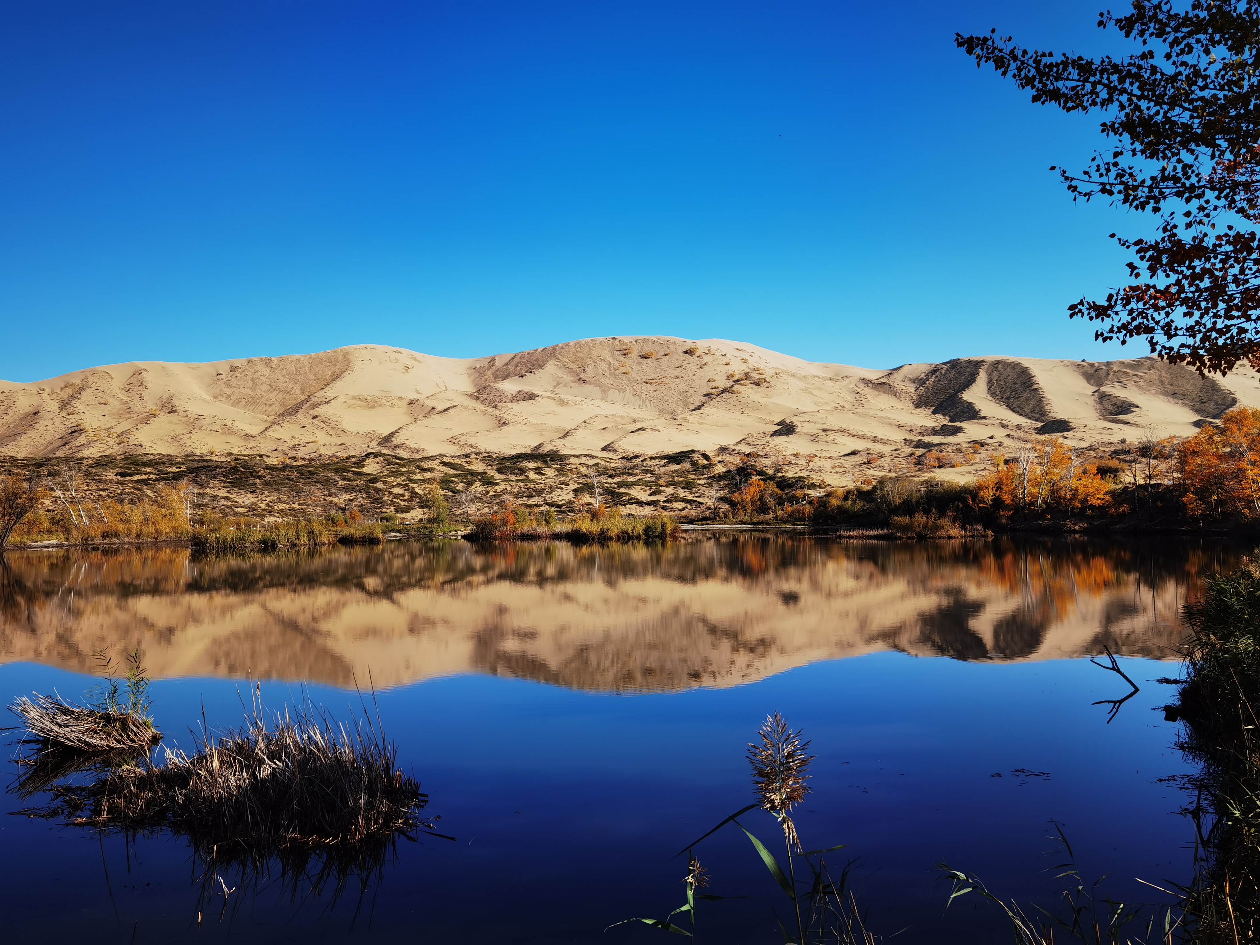 自驾游*疆新**：原来你是这样的白沙湖