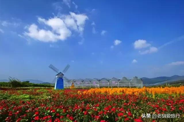 三八妇女节旅游景点门票哪里免费,三八妇女节有哪些景点免门票的