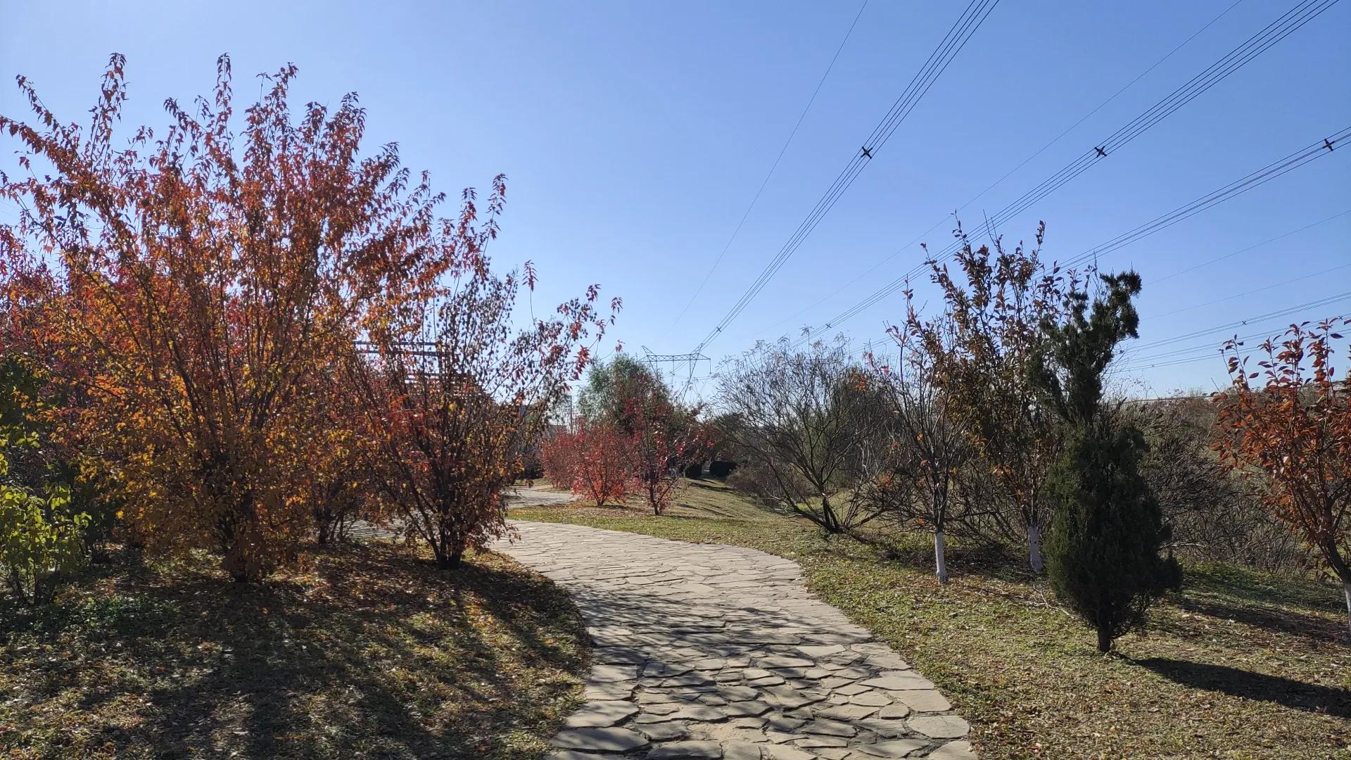 沈阳远大湿地公园,沈阳七星湿地公园