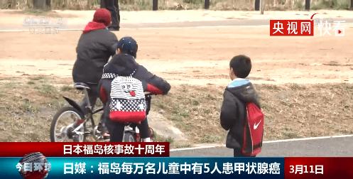 日本基因突变双头龟,双头龟是基因突变吗