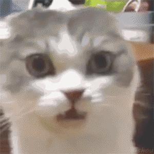 空调的异味怎么处理,空调的味道很难闻怎么办