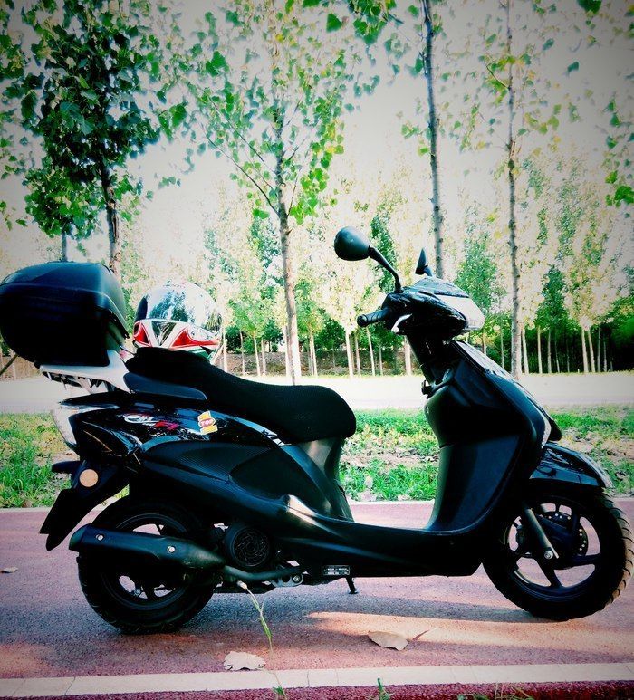 新大洲本田经典款,新大洲本田e影110加92还是95