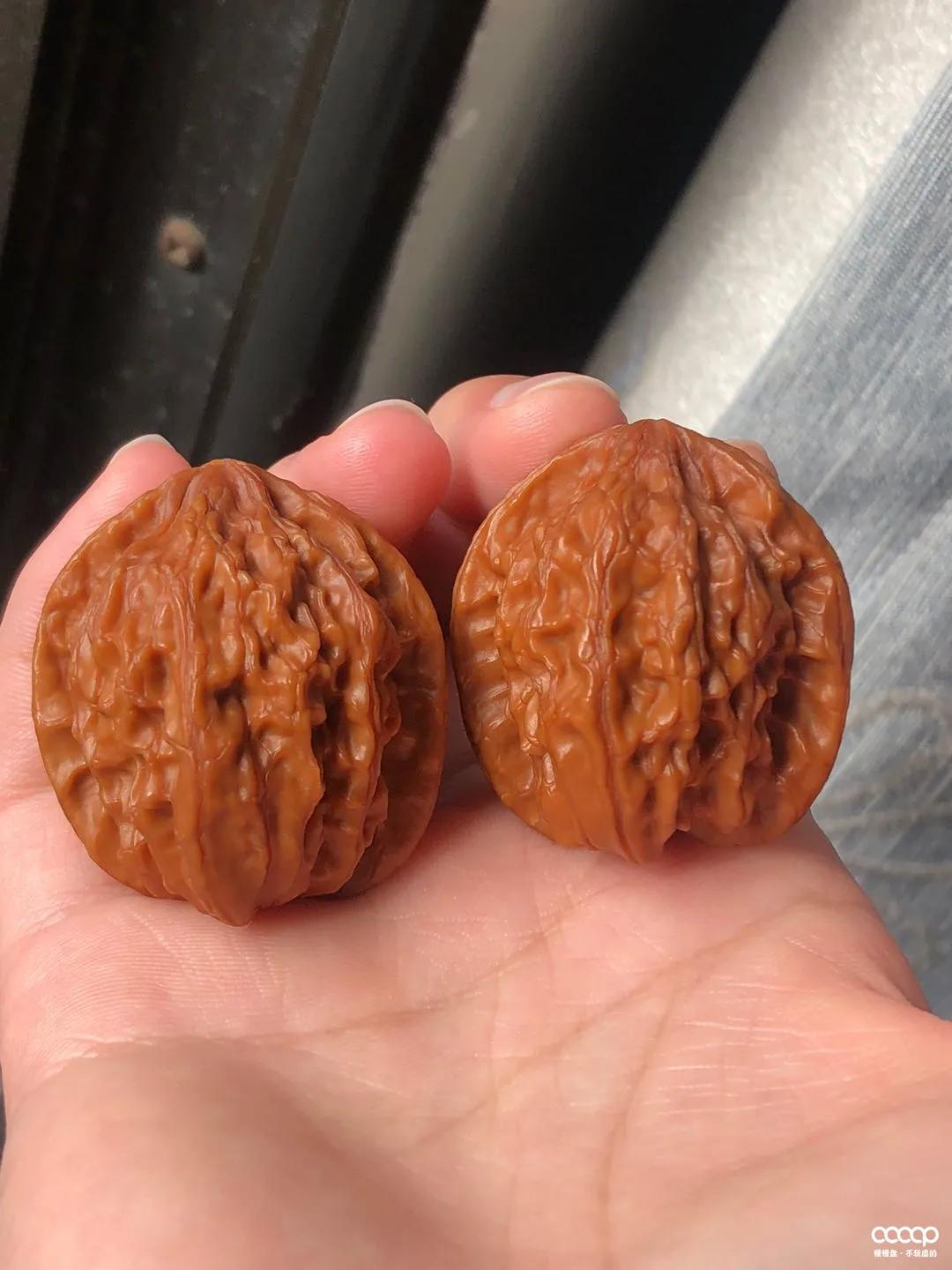 有毒！又一位宝藏小姐姐，玩核桃最爱“马虎”，朋友眼里是奇葩