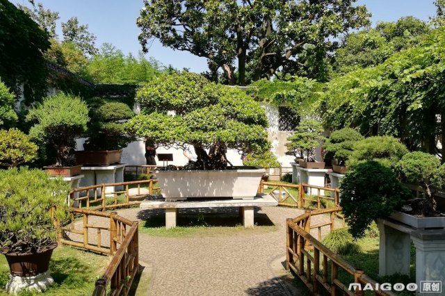 劳动节苏州旅游必去景点排名,苏州五一游景点