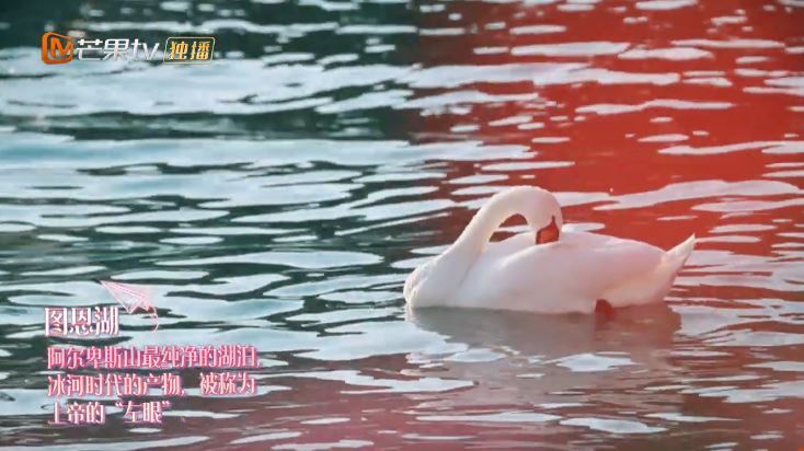 妻子的浪漫旅行最甜的一季,妻子的浪漫旅行谢娜做饭