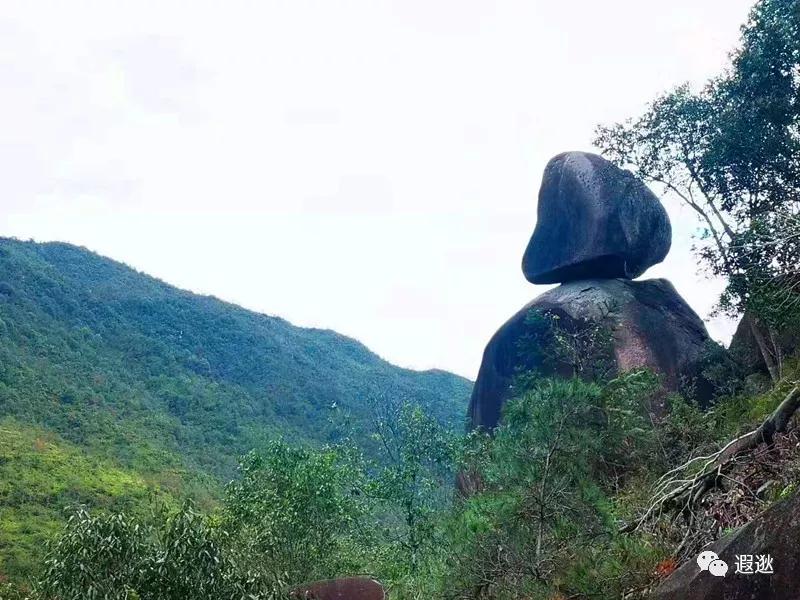 温州居然有这么美的小众景点,温州青龙山风景区在哪里