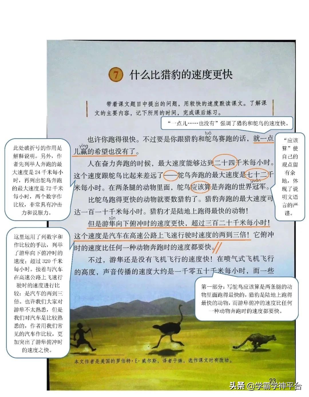 五年级上册语文全册知识点归纳,2021-2022年五年级语文上册人教版