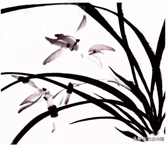 国画兰花技法讲解视频,徐湛国画兰花技法教学