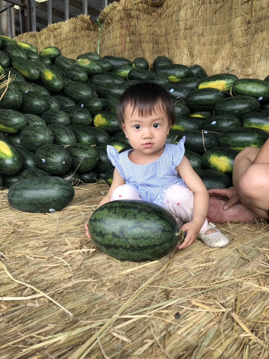 被资本绑架的外贸平台有哪些,被资本绑架的市场