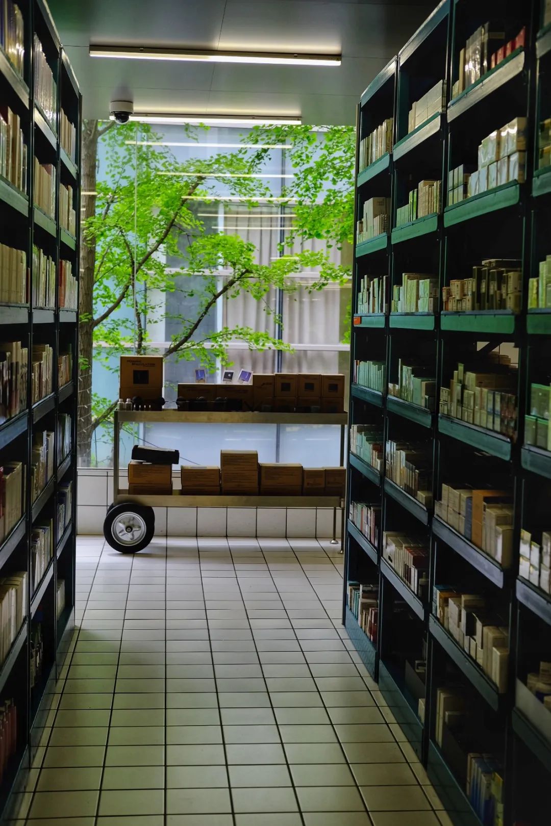 美妆集合店爆火harmay都赢在哪里,harmay三里屯美妆店