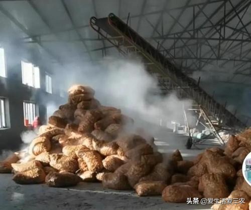 农村小型加工厂做什么生意好,在农村开一个小型面粉加工厂利润