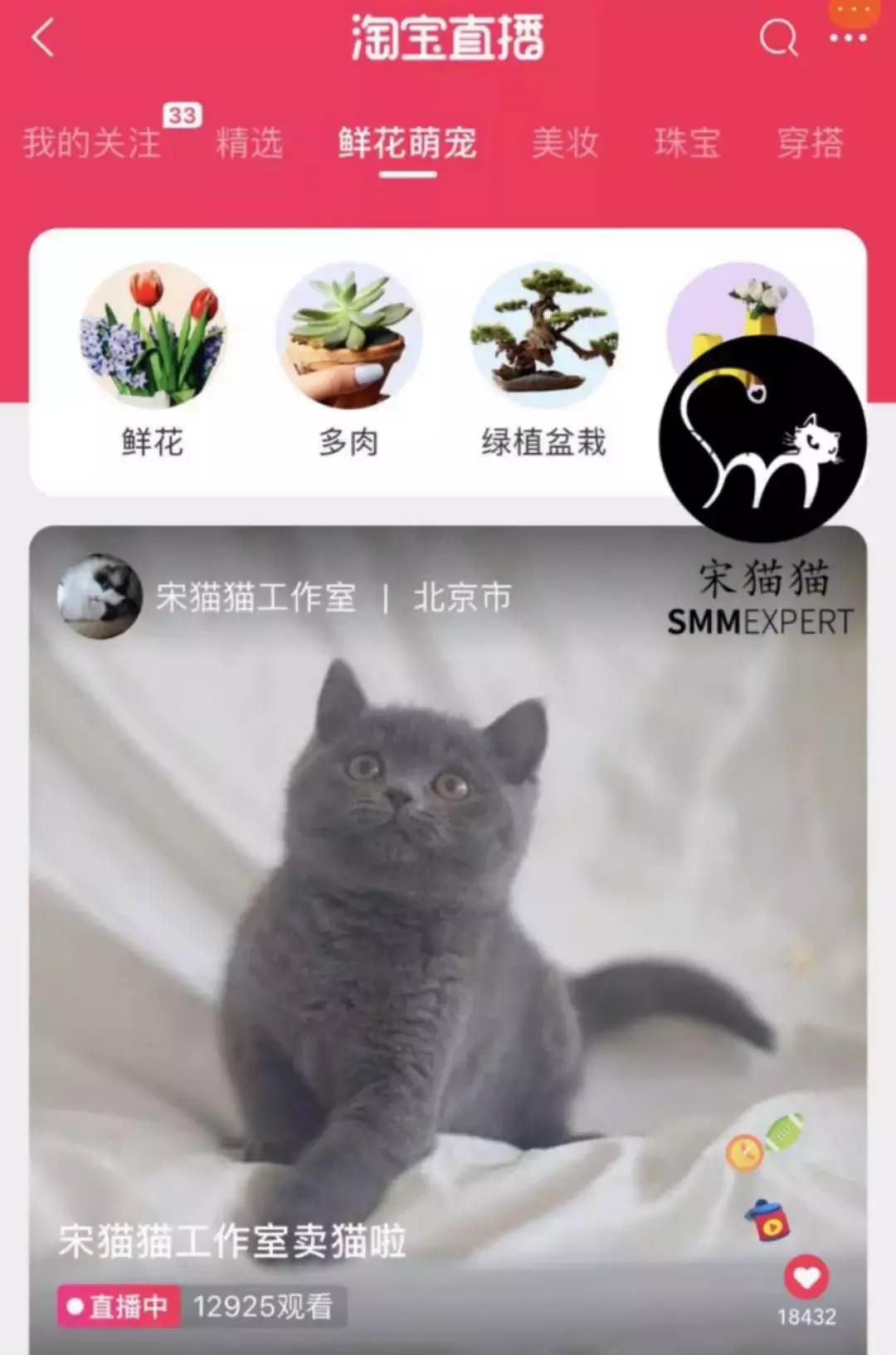 开宠物店一年能赚多少钱,开宠物店一个月能赚多少