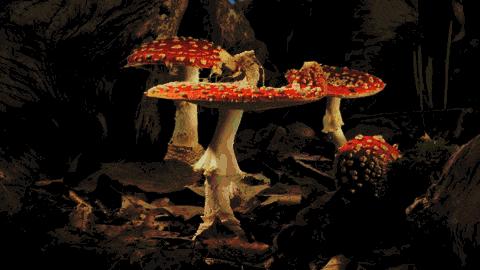 100个科学小实验会动的图案,100个科学物理动态图