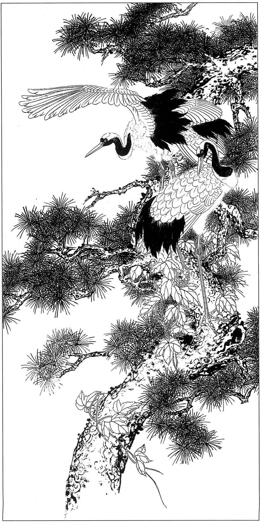 仙鹤桃子工笔白描稿,工笔画仙鹤高清图上色步骤图