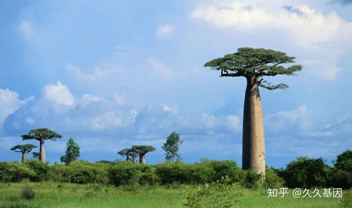 雅诗兰黛是智商税吗,雅诗兰黛小棕瓶眼霜是智商税吗