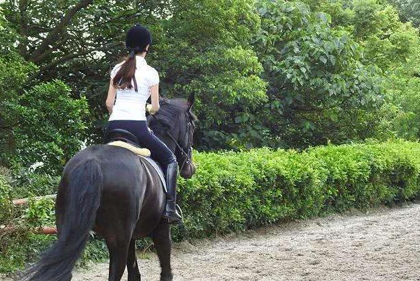 51岁萧蔷晒照,52岁萧蔷新照宛若少女