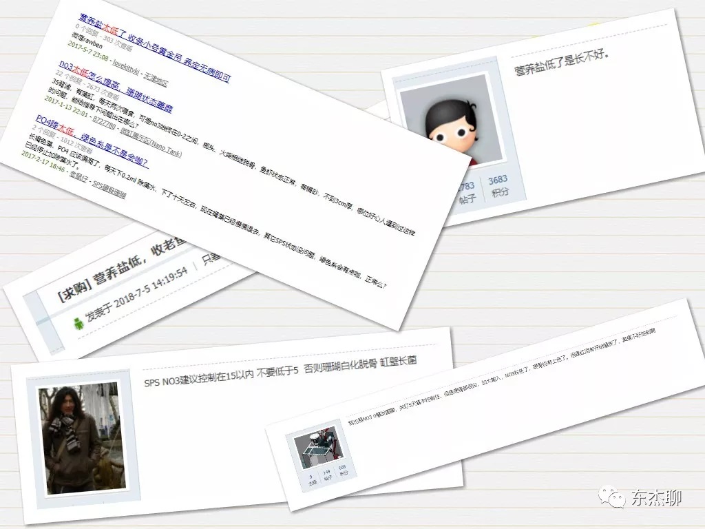 海缸极低营养盐,容易养的海缸珊瑚