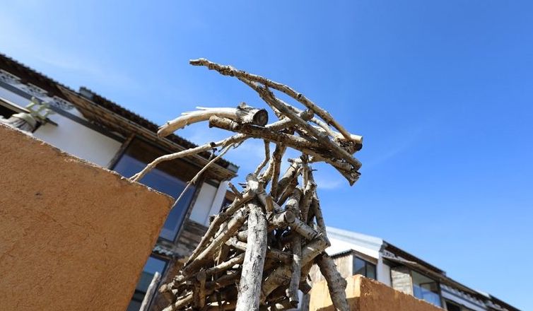 做强优势产业助力乡村振兴,做强特色跑出乡村振兴加速度