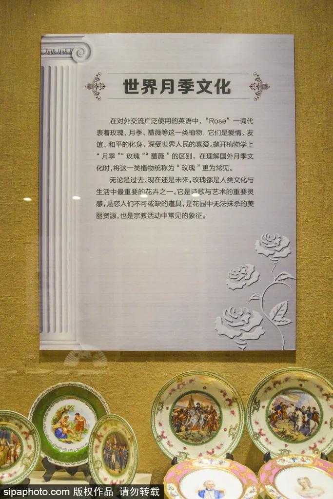 全球最美十大花海美到令人心醉,全球最漂亮花海