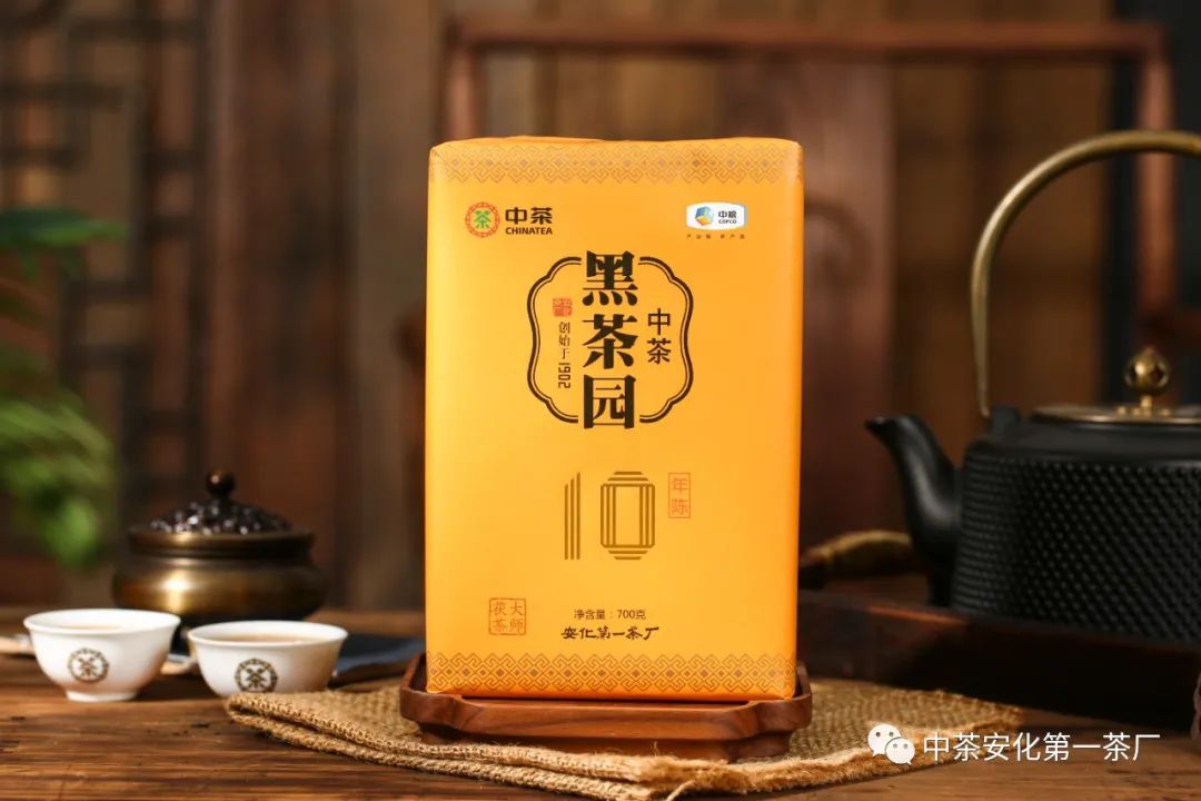 黑茶品鉴会,中茶陈年黑茶
