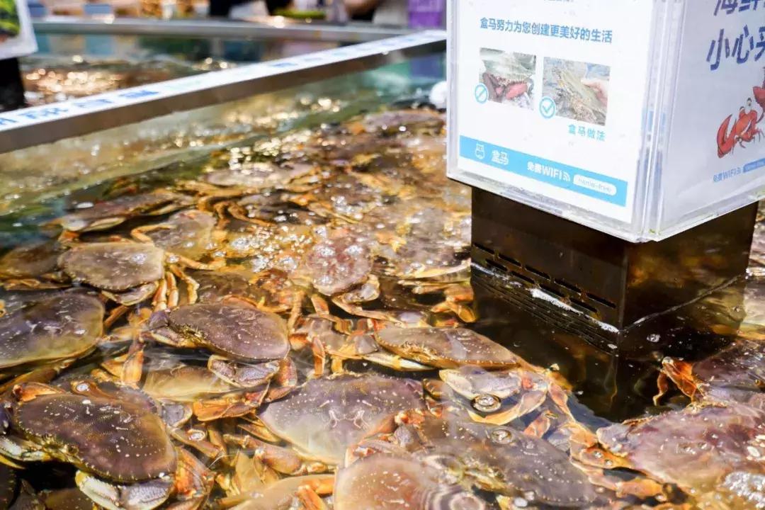 浙江杭州双11天猫,天猫双11杭州