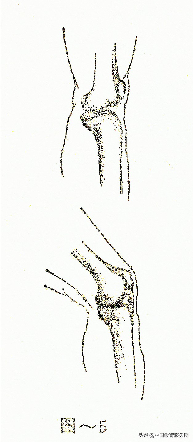 擒拿格斗的运动规律和人体的解剖结构