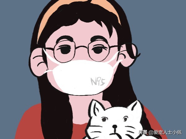 猫咪流眼泪很多其他都是正常的,猫咪为什么会无缘无故的流眼泪呢