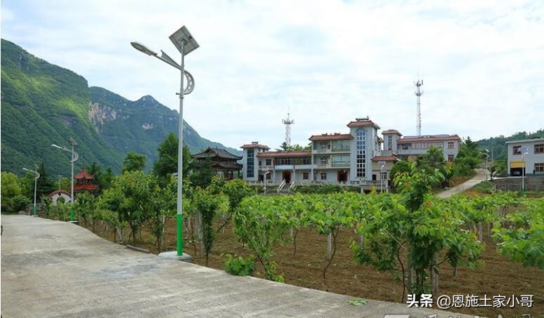 恩施土家寨风景,恩施土家风情文化线路图