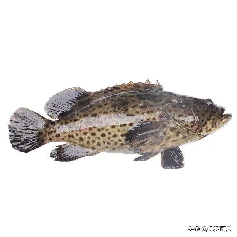 海鲜大荟萃,常见贝壳类海鲜