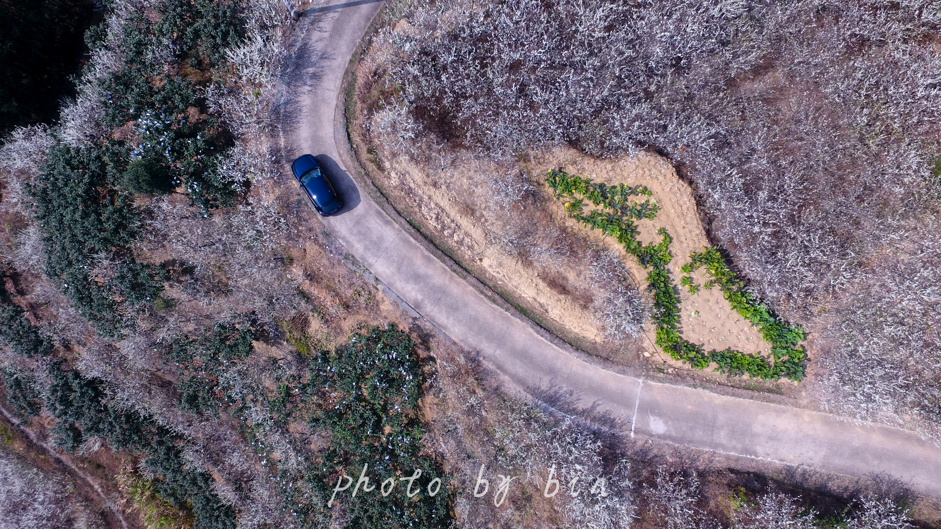 马自达cx30手动版真实油耗,2.0手动马自达cx30百公里加速